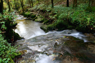 Bachversuch-2.jpg
