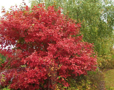 09.10.2016 11-26-31_0019.jpg