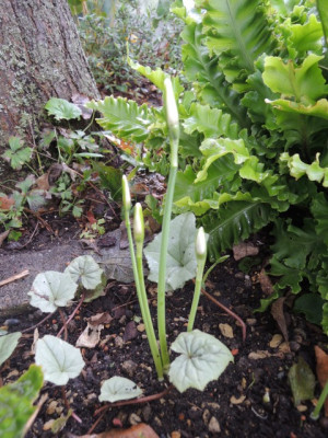 DSCN2175_1774.JPG