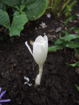 DSCN2170_1773.JPG