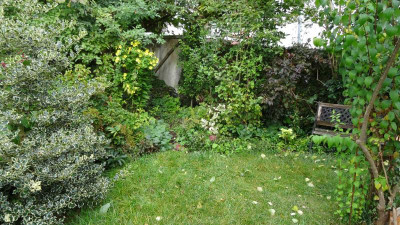 DSC02310.JPG