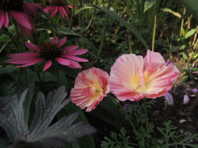 DSCN1223_1779.JPG