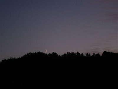 P1050269.JPG