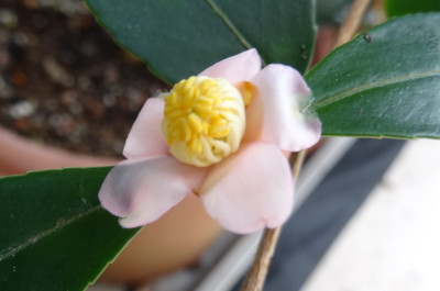 DSC03805.jpg