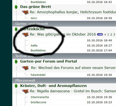 ansicht.jpg