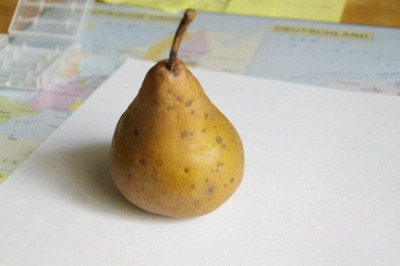 IMGP1206.JPG