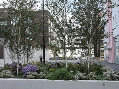 DSCN5940.JPG