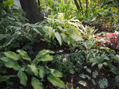 DSCN1417_1752.JPG