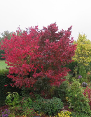 Herbst.JPG