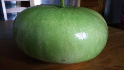 20161009_180239.jpg