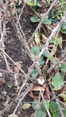 20161014_103215.jpg