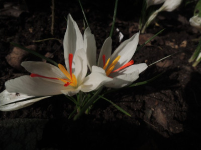 DSCN2219_1793.JPG