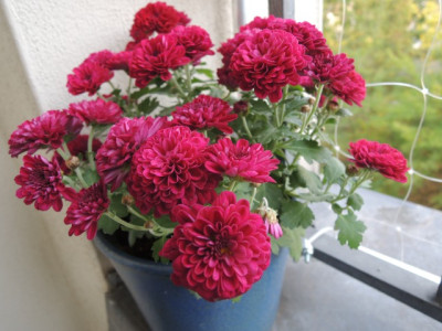 DSCN2224_1797.JPG