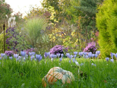 2016-10-15 Gartenimpressionen 1.jpg