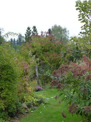 2016-10-14 Garteneinblick 1.jpg
