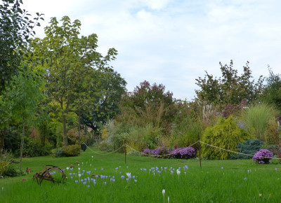2016-10-15 Garteneinblick 1.jpg