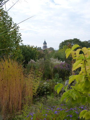 2016-10-15 Garteneinblick 2.jpg