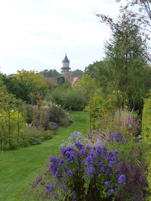 2016-10-15 Garteneinblick 3.jpg