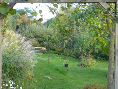 2016-10-15 Garteneinblick 4.jpg