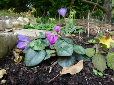 P1100189.JPG