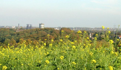 Ruhrpott-im-Oktober-2006-k.jpg