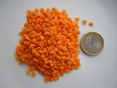 rote_Linsen.JPG
