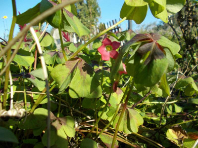 2016-10-16 11.51.14.jpg