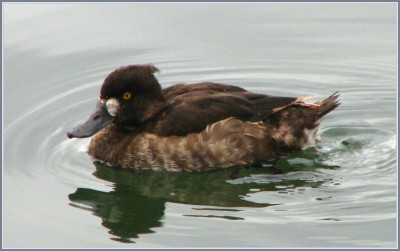 ENTE_FR_2710_RI.jpg