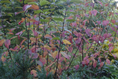 20161016_139.JPG