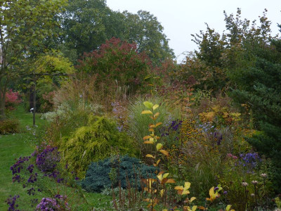 2016-10-17 Gartenimpressionen 2.jpg