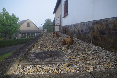 kiesgarten dörschd2.jpg