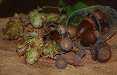 DSC_8301b.jpg