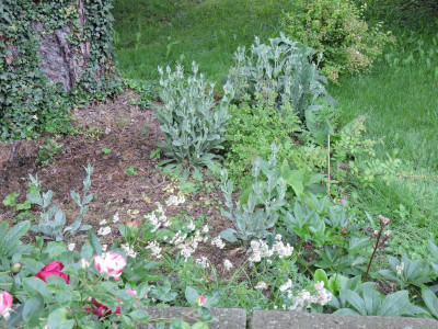 DSCN4440.JPG