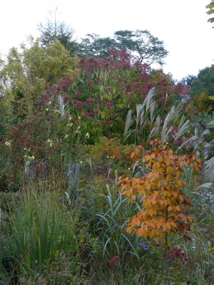 2016-10-20 Gartenimpressionen.jpg