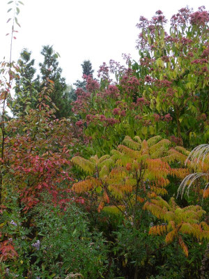 2016-10-22 Gartenimpressionen 1.jpg