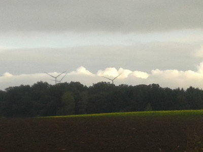 20161019_094522.jpg