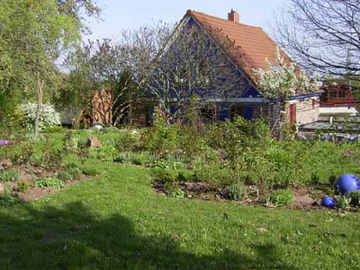 rhus_5.jpg