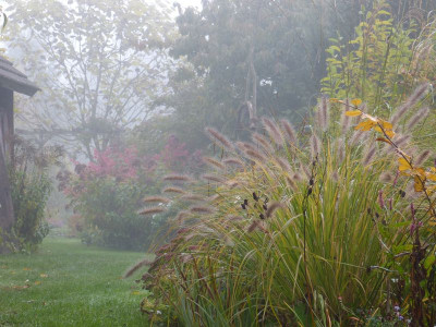 2016-10-23 Gartenimpressionen 1.jpg