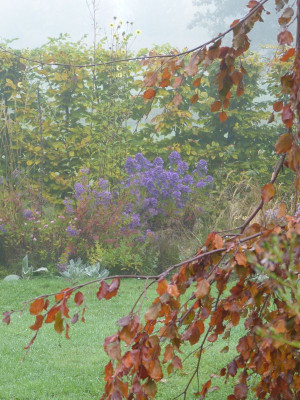 2016-10-23 Gartenimpressionen 8.jpg