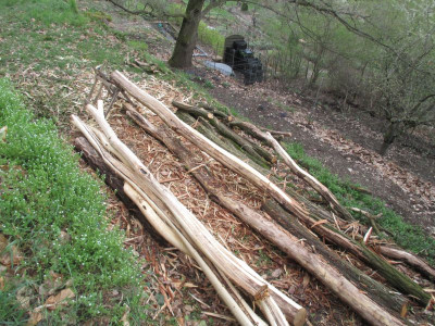 Schaukel Holz 20160405_02.jpg