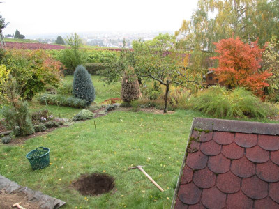 Schaukel_2061022_00.jpg
