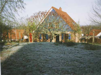 rhus_4.jpg