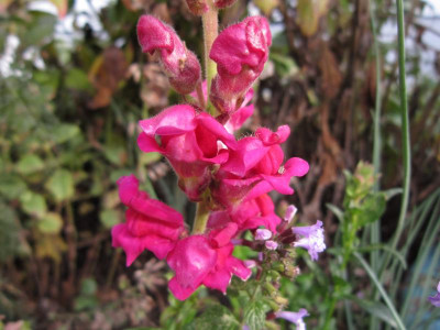 161023_07.JPG