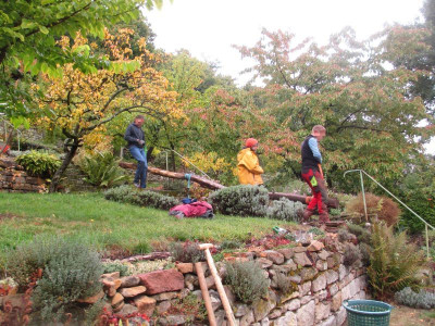 Schaukel_2061022_62.jpg