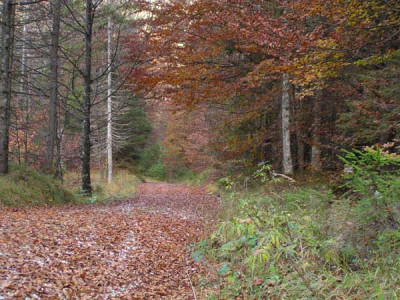 am_ende_der_weg.jpg
