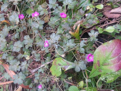 20161024_092106.jpg