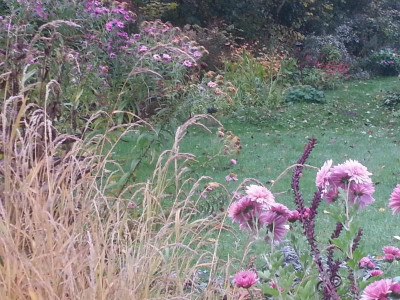 20161024_092434.jpg