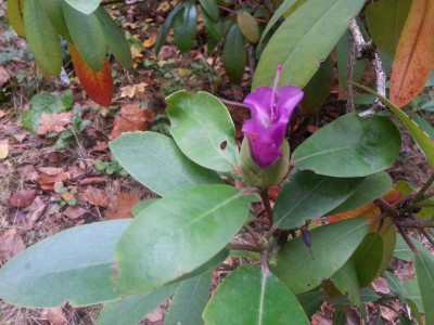 20161024_092645.jpg