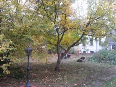 20161024_092917.jpg