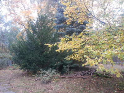 20161024_092931.jpg